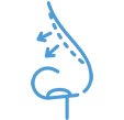 Nose Aesthetics